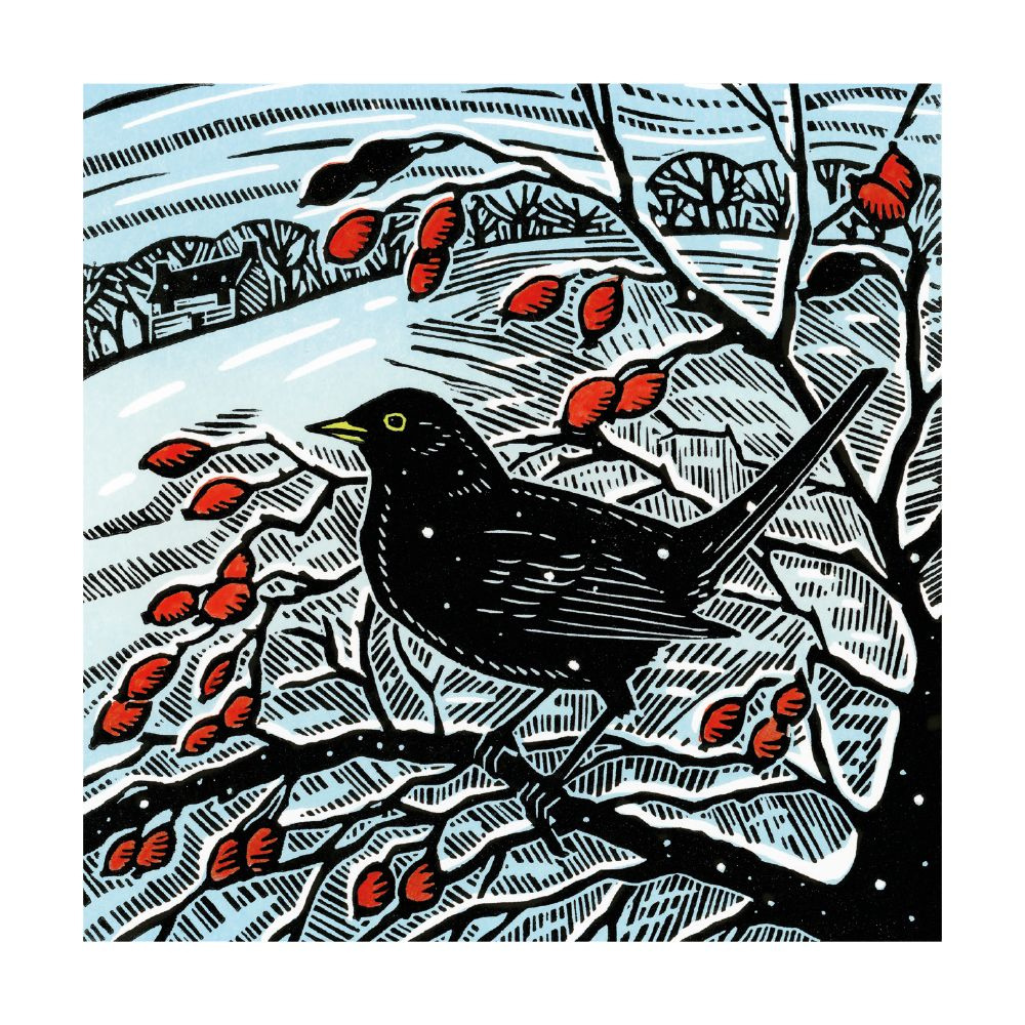 Christmas card with blackbird on branch with berries