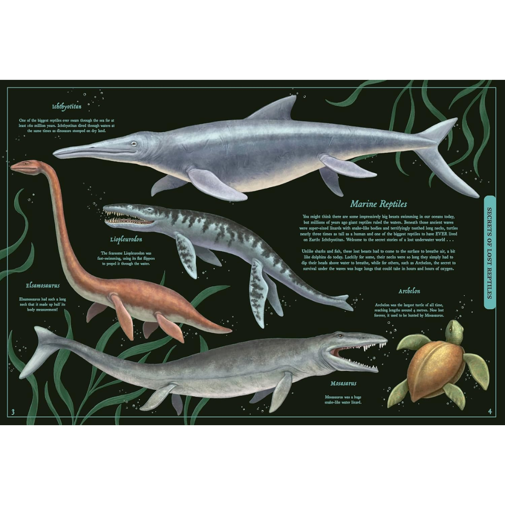 Illustration of marine reptiles on a dark background with plant designs.