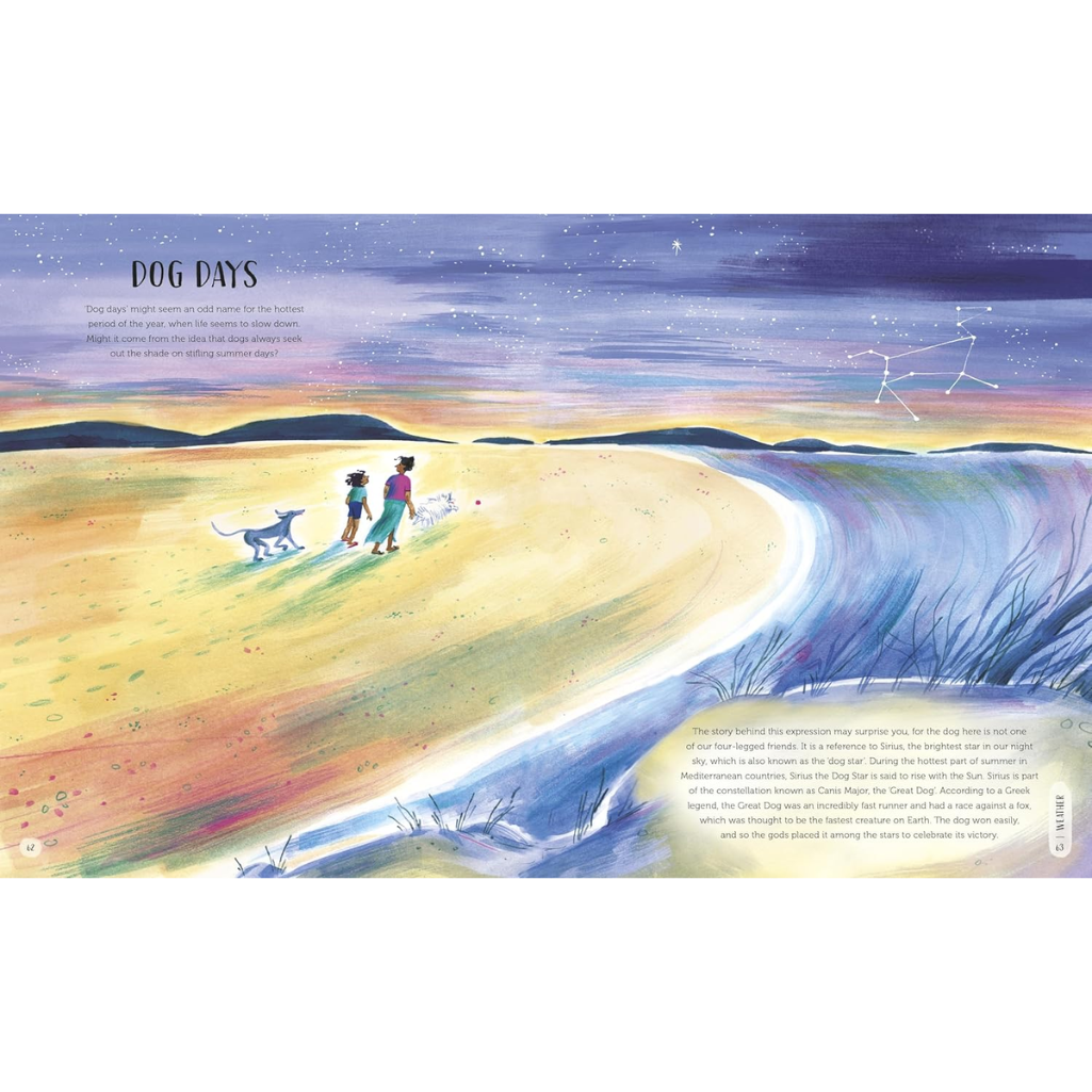 Illustration of two people walking dogs on a beach with a starry sky above.