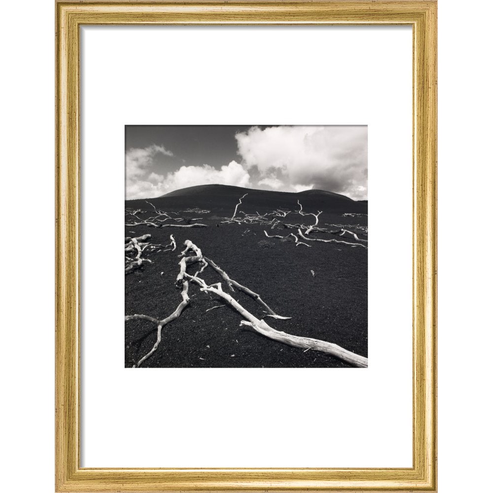 Devastation Hill print in gold frame