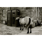 Dufftown print