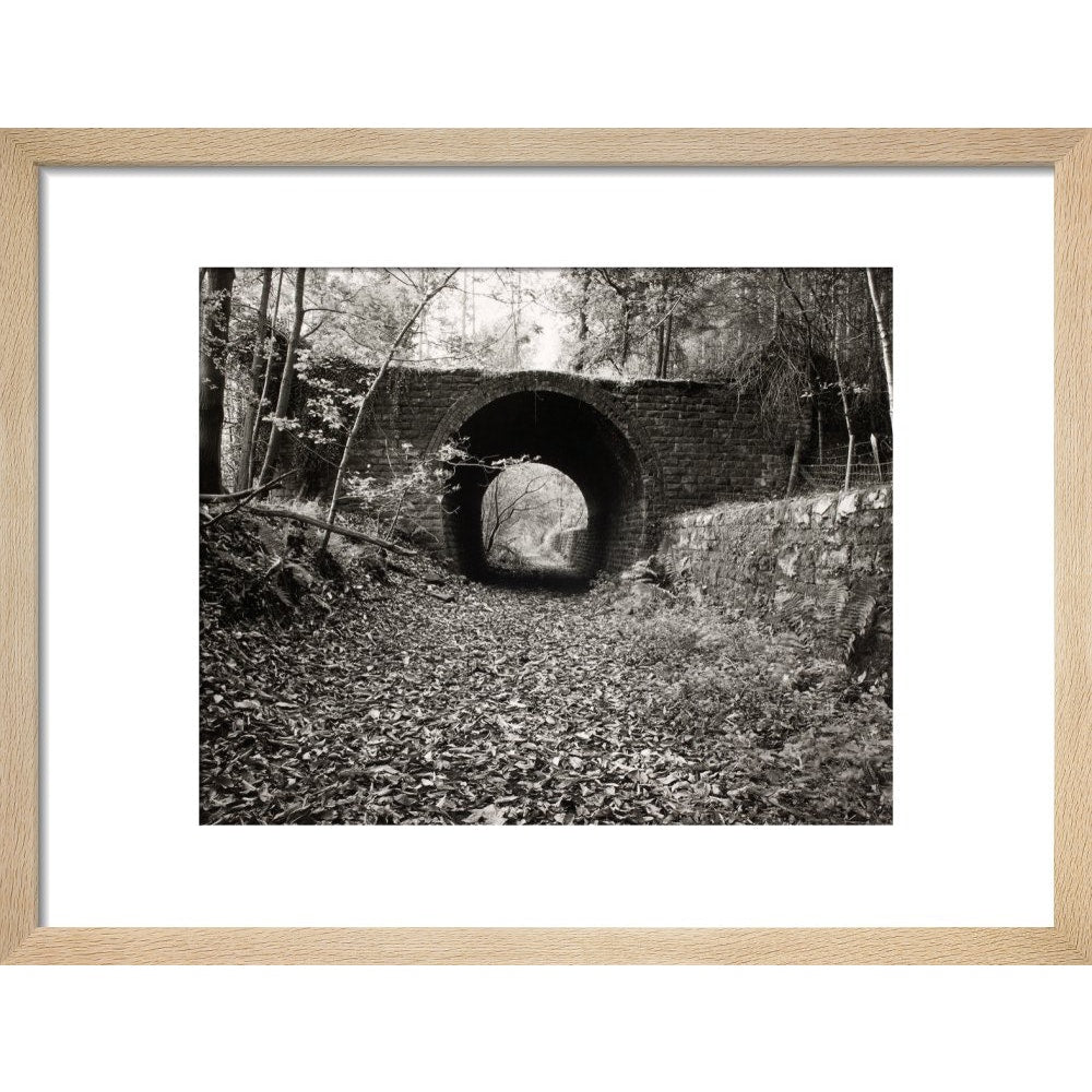 One Way Bridge print in natural frame