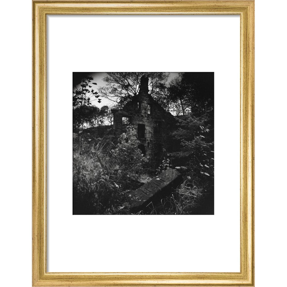 Staups Mill print in gold frame