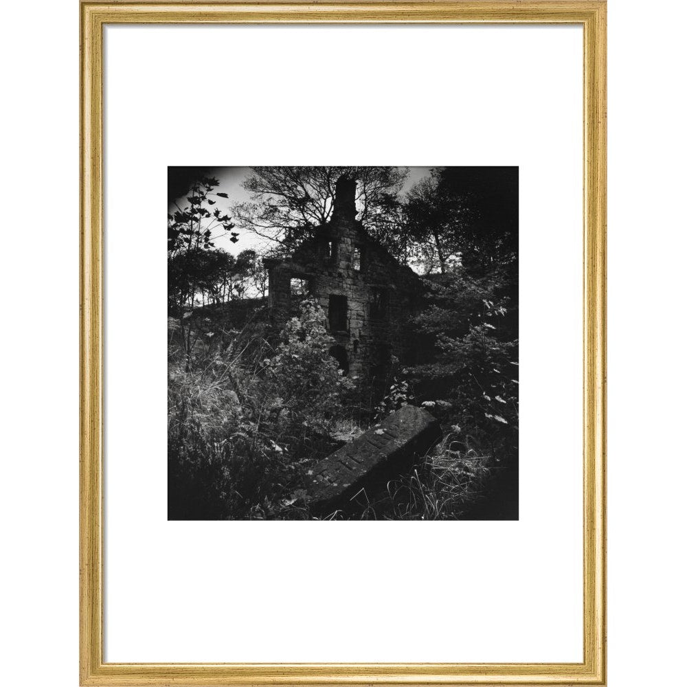 Staups Mill print in gold frame