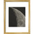 The Moon print in gold frame