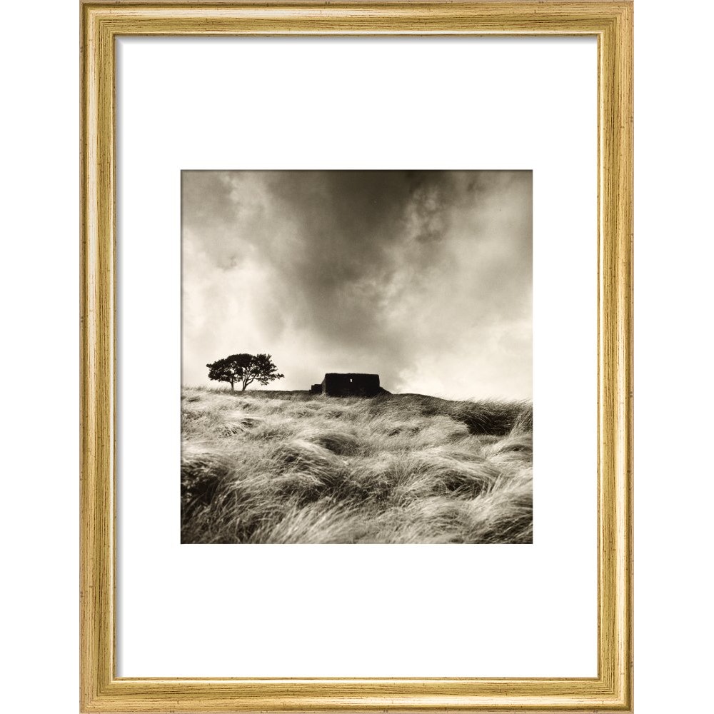 Top Withens print in gold frame