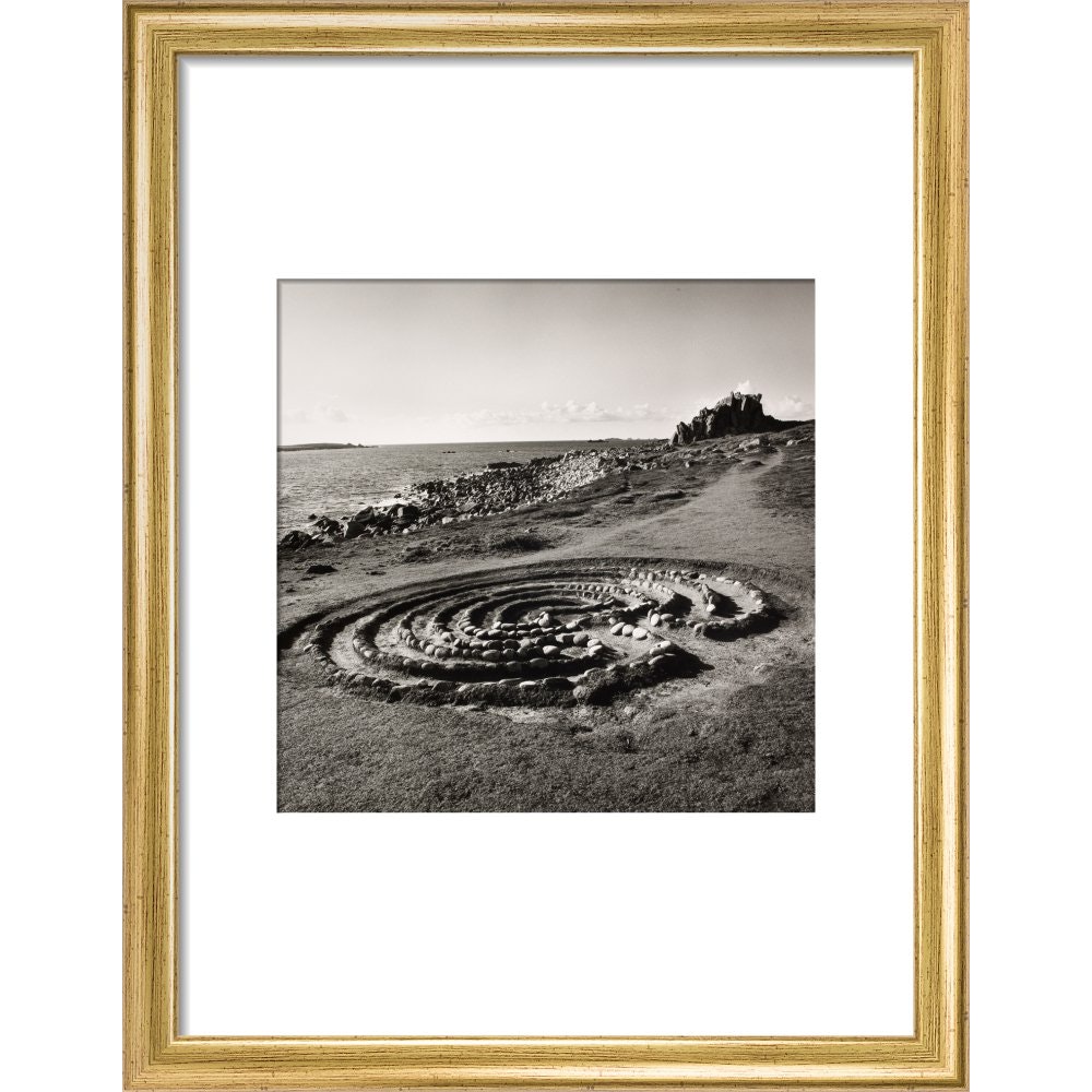 Troytown Maze print in gold frame