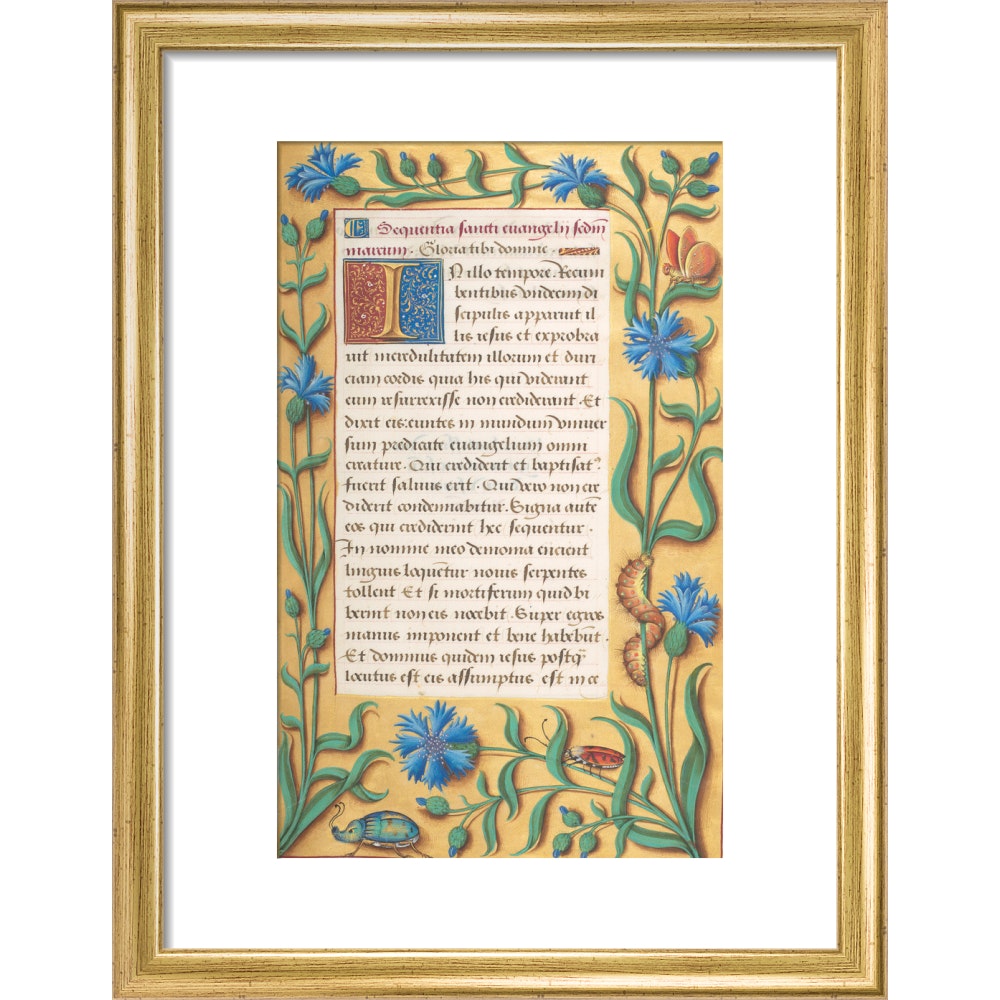 Book of Hours print in gold frame