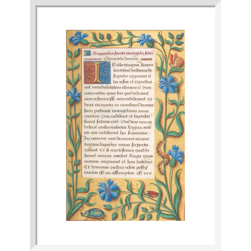 Book of Hours print in white frame