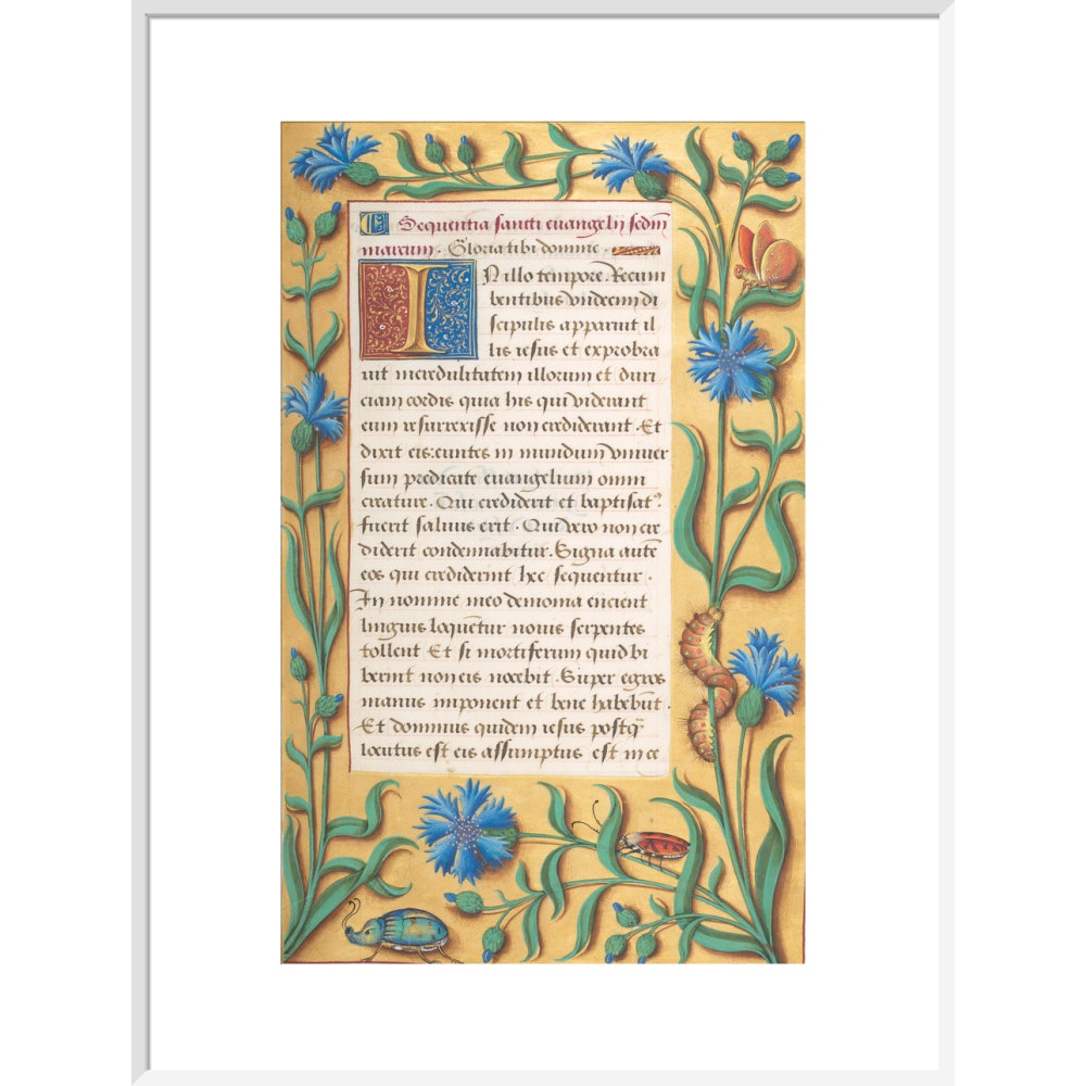 Book of Hours print in white frame