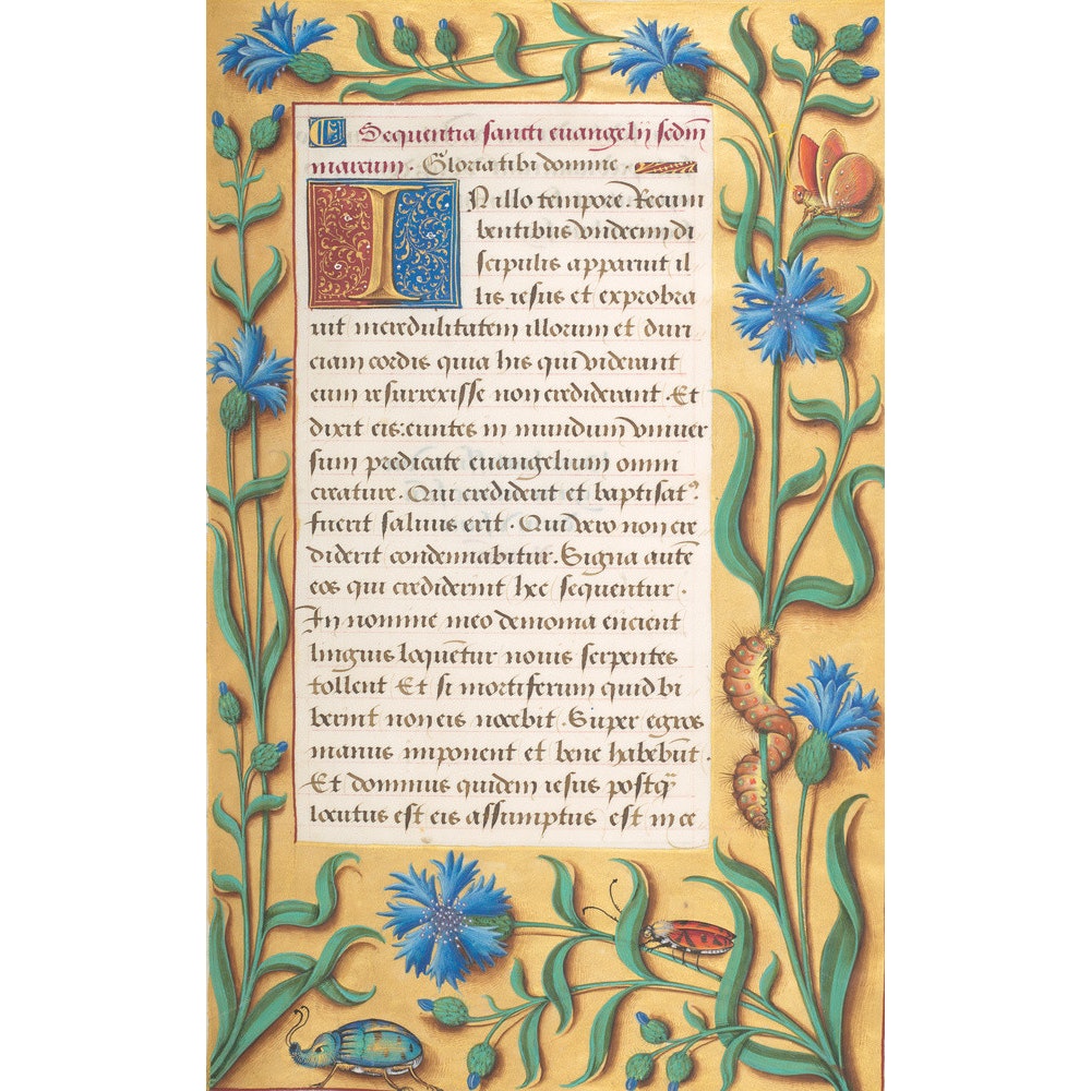 Book of Hours print