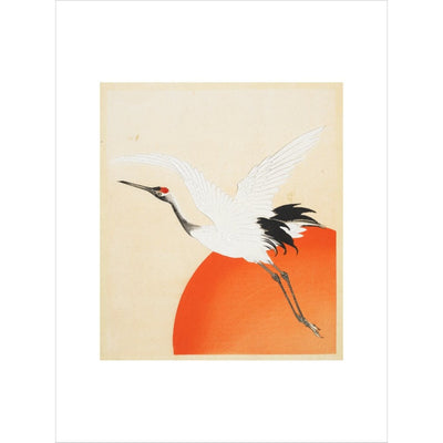 Flying Crane print in white frame