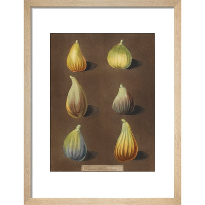Figs print in natural frame