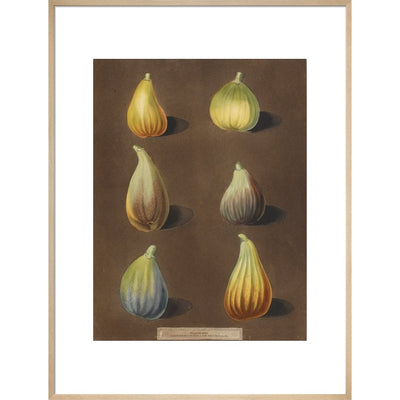 Figs print in natural frame