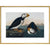 Puffins print in gold frame