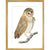 Owl print in gold frame