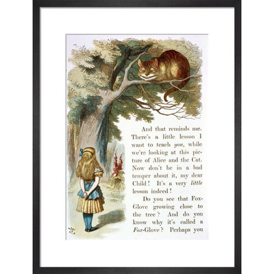 Alice and the Cheshire Cat print in black frame