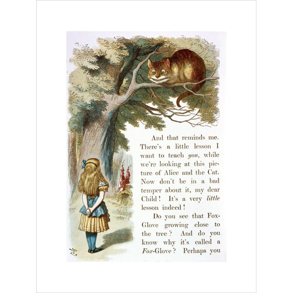 Alice and the Cheshire Cat print unframed