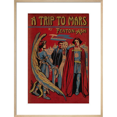 A Trip to Mars print in natural frame