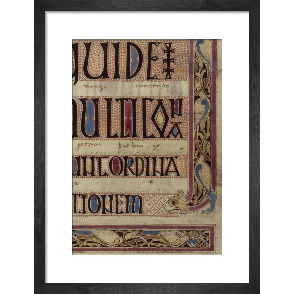 Detail of a cat, from a page of the Lindisfarne Gospels print in black frame