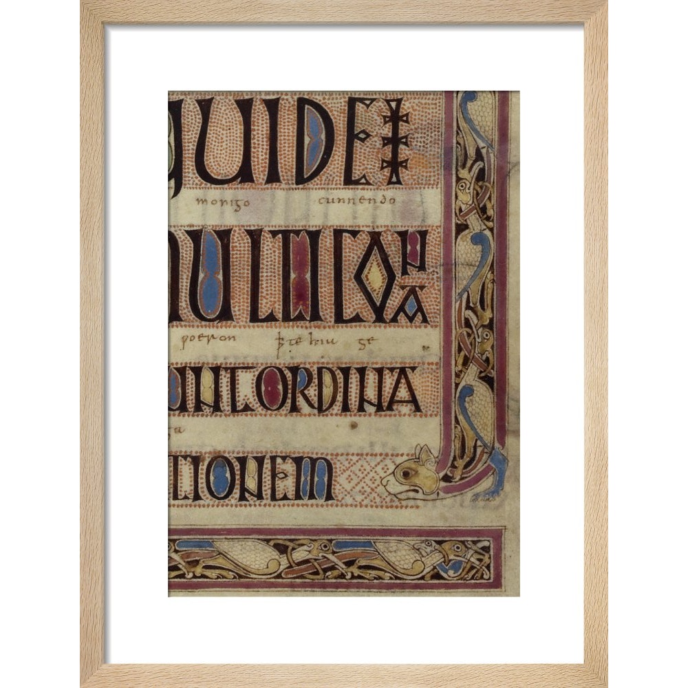 Detail of a cat, from a page of the Lindisfarne Gospels print in natural frame