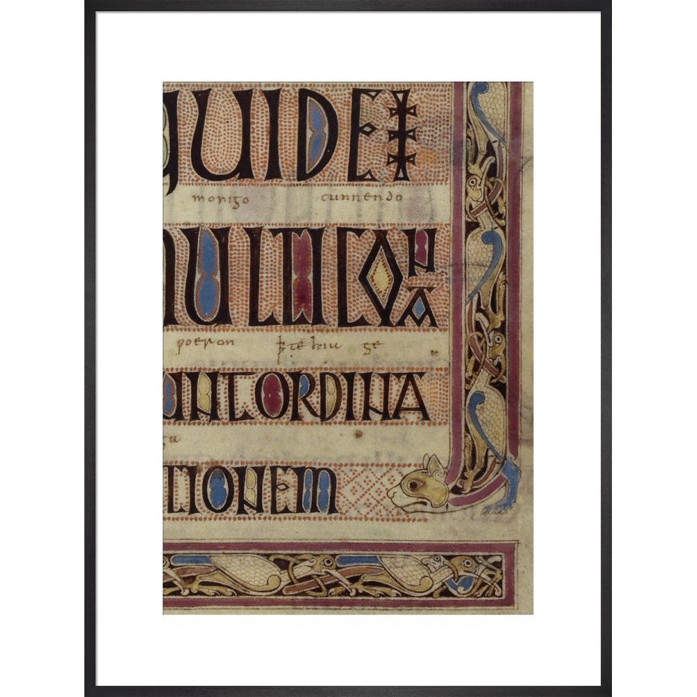 Detail of a cat, from a page of the Lindisfarne Gospels print in black frame