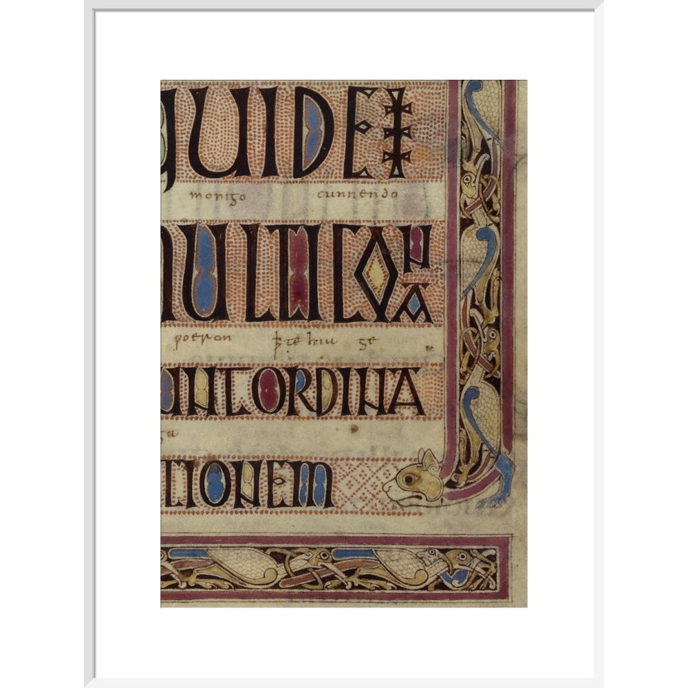 Detail of a cat, from a page of the Lindisfarne Gospels print in white frame