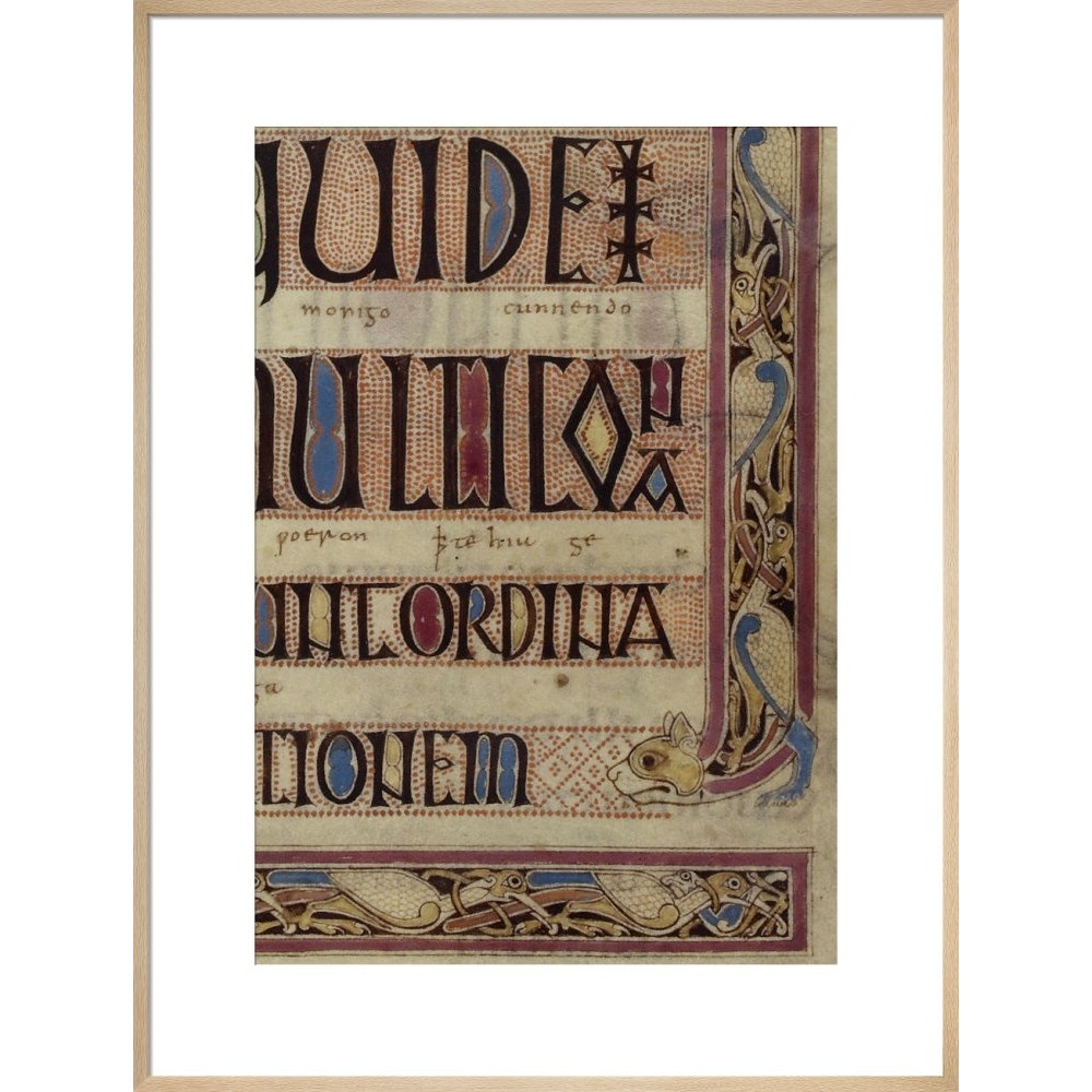 Detail of a cat, from a page of the Lindisfarne Gospels print in natural frame