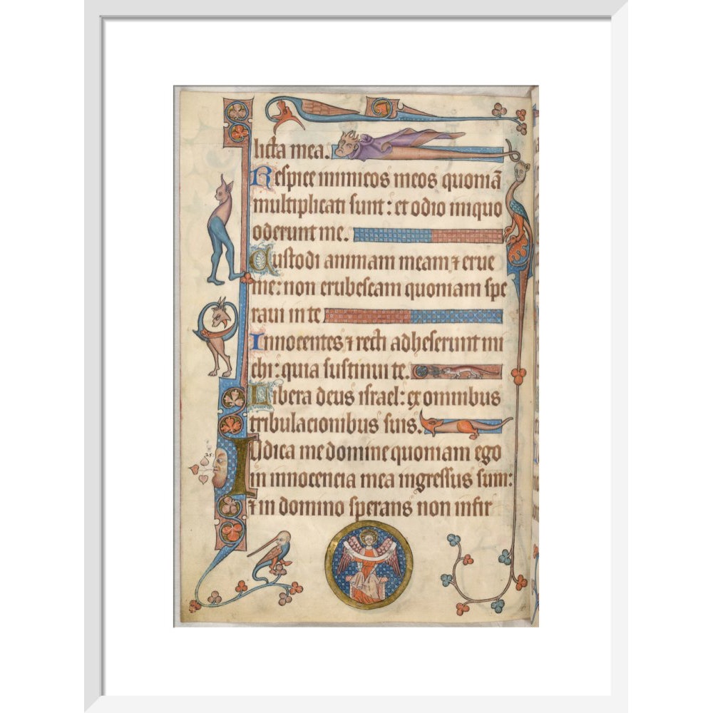 Luttrell Psalter print in white frame