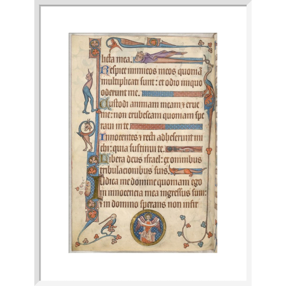 Luttrell Psalter print in white frame
