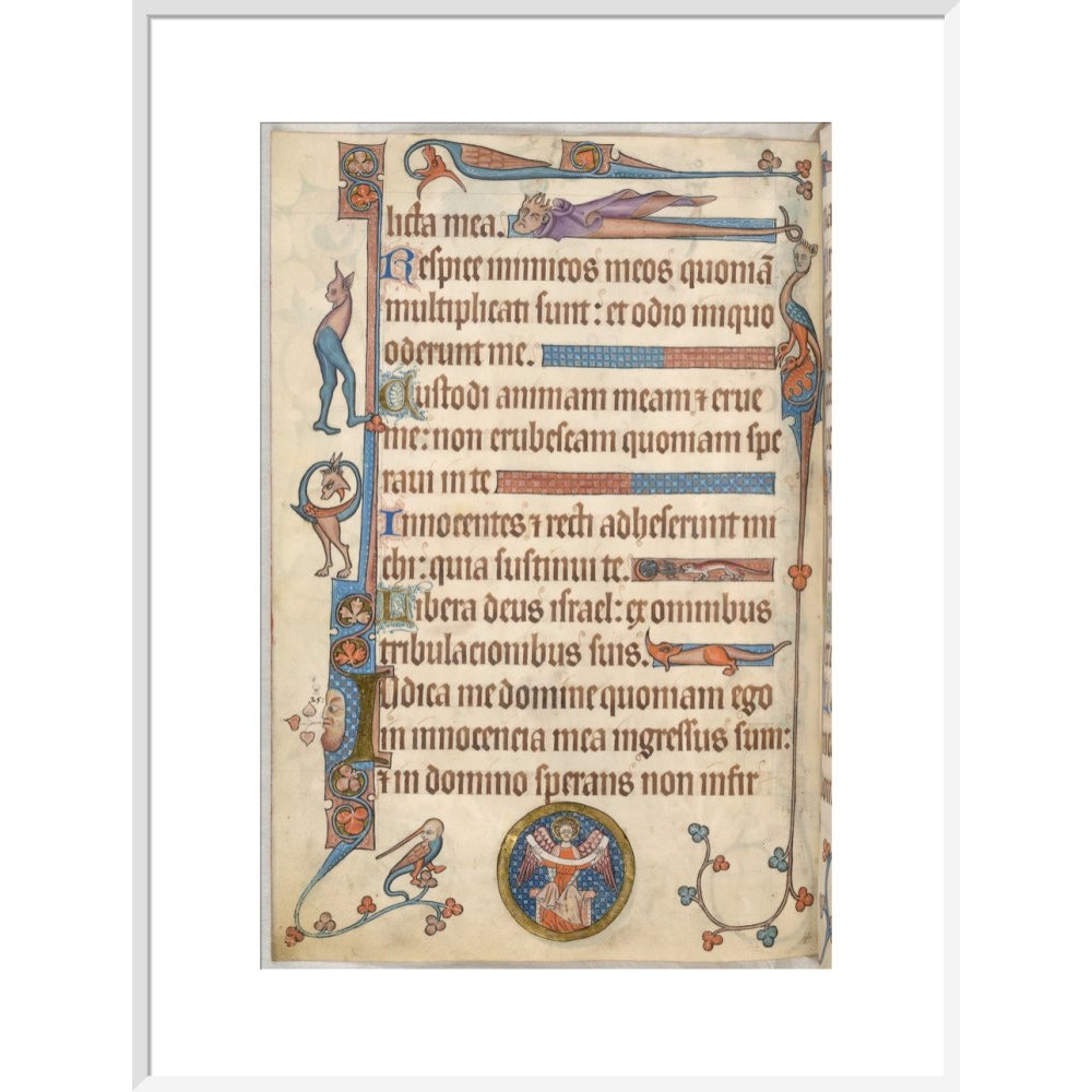 Luttrell Psalter print in white frame