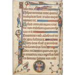 Luttrell Psalter print