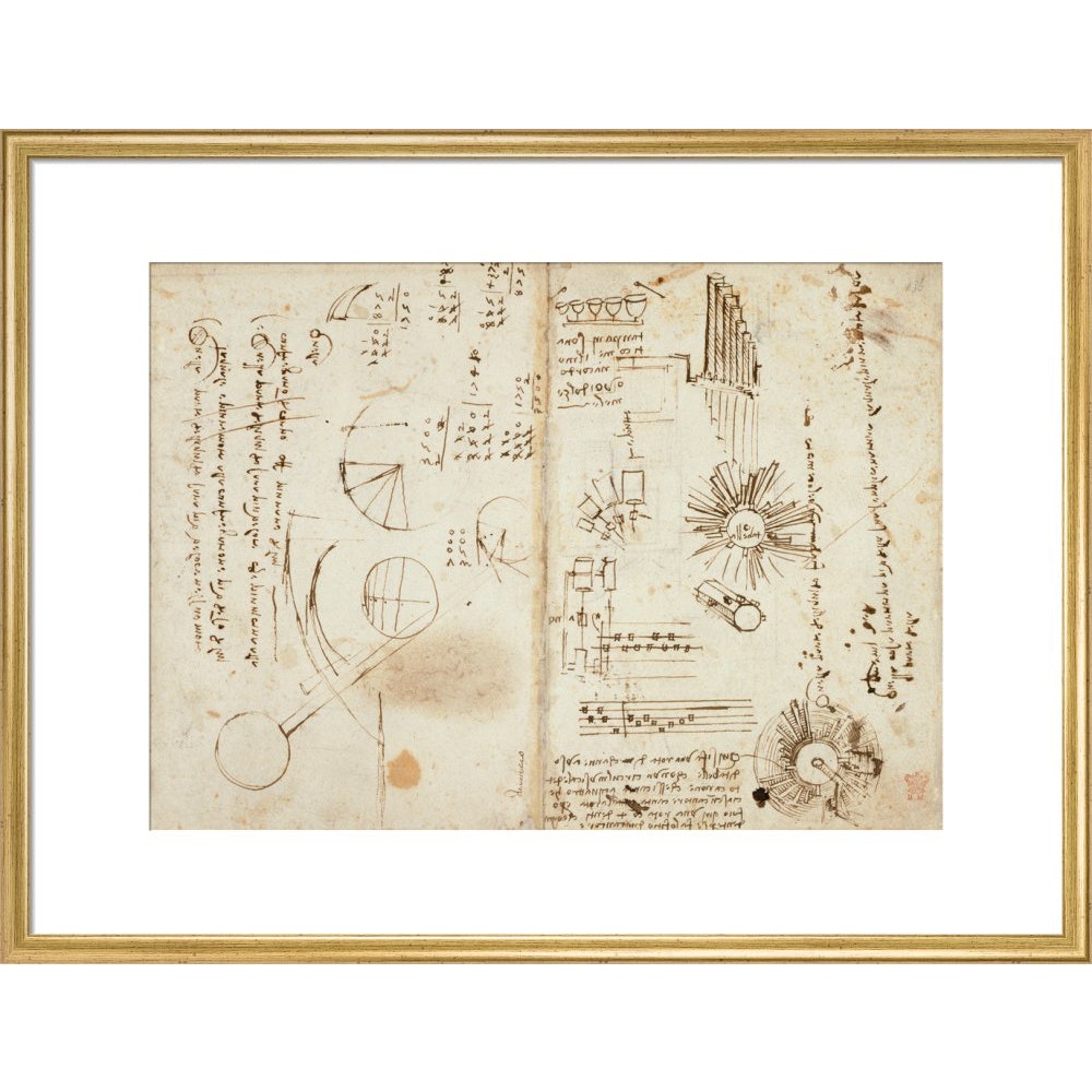 Notebook of Leonardo da Vinci print in gold frame