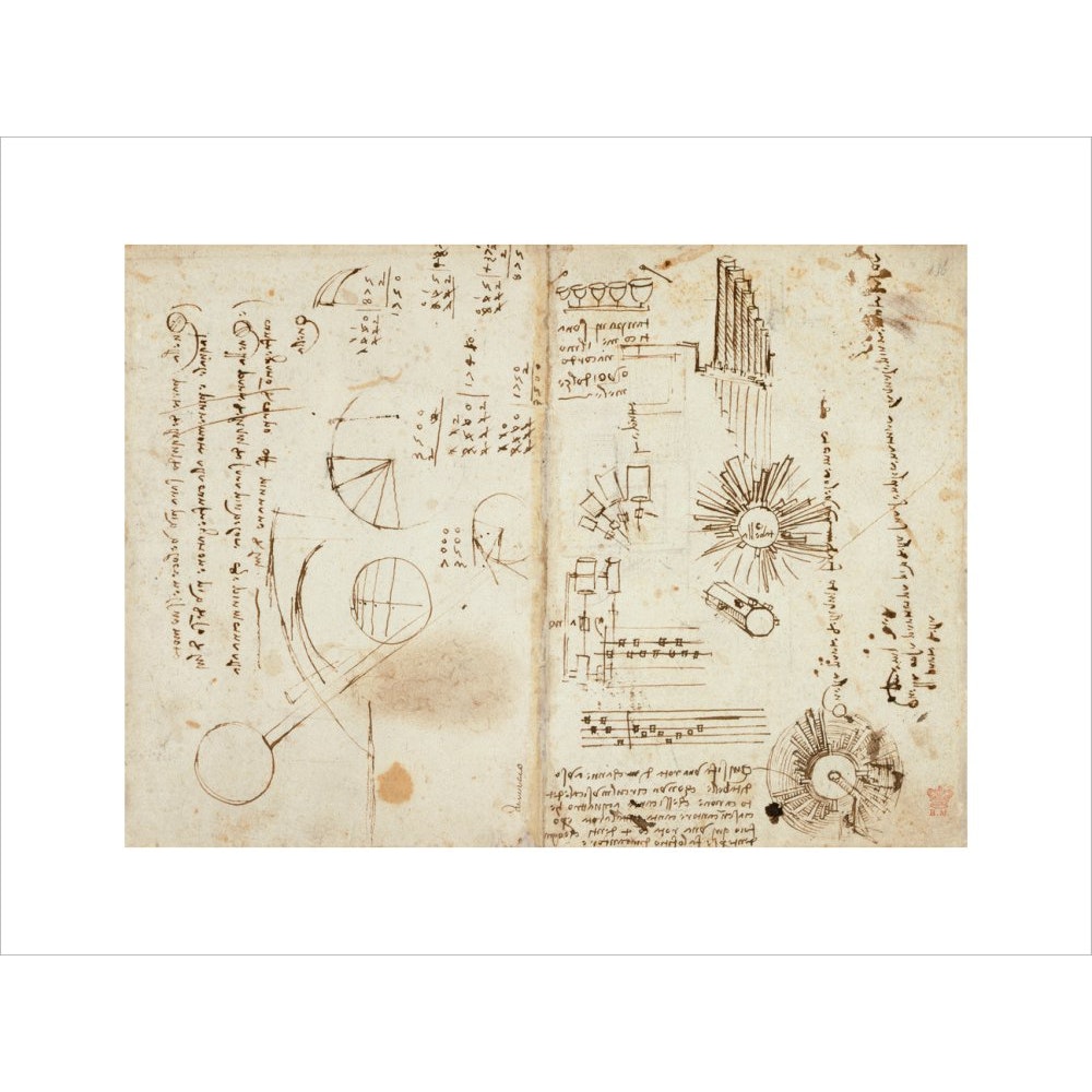 Notebook of Leonardo da Vinci print unframed