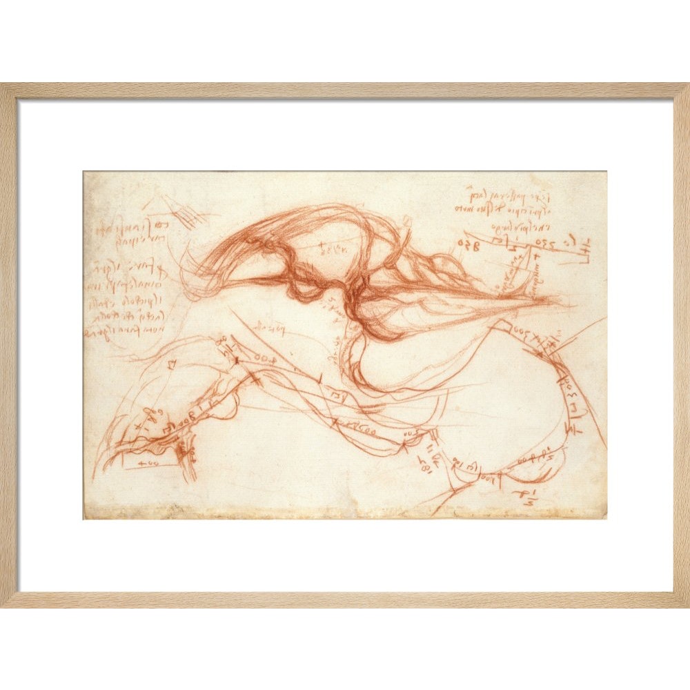 Notebook of Leonardo da Vinci (The River Arno) print in natural frame
