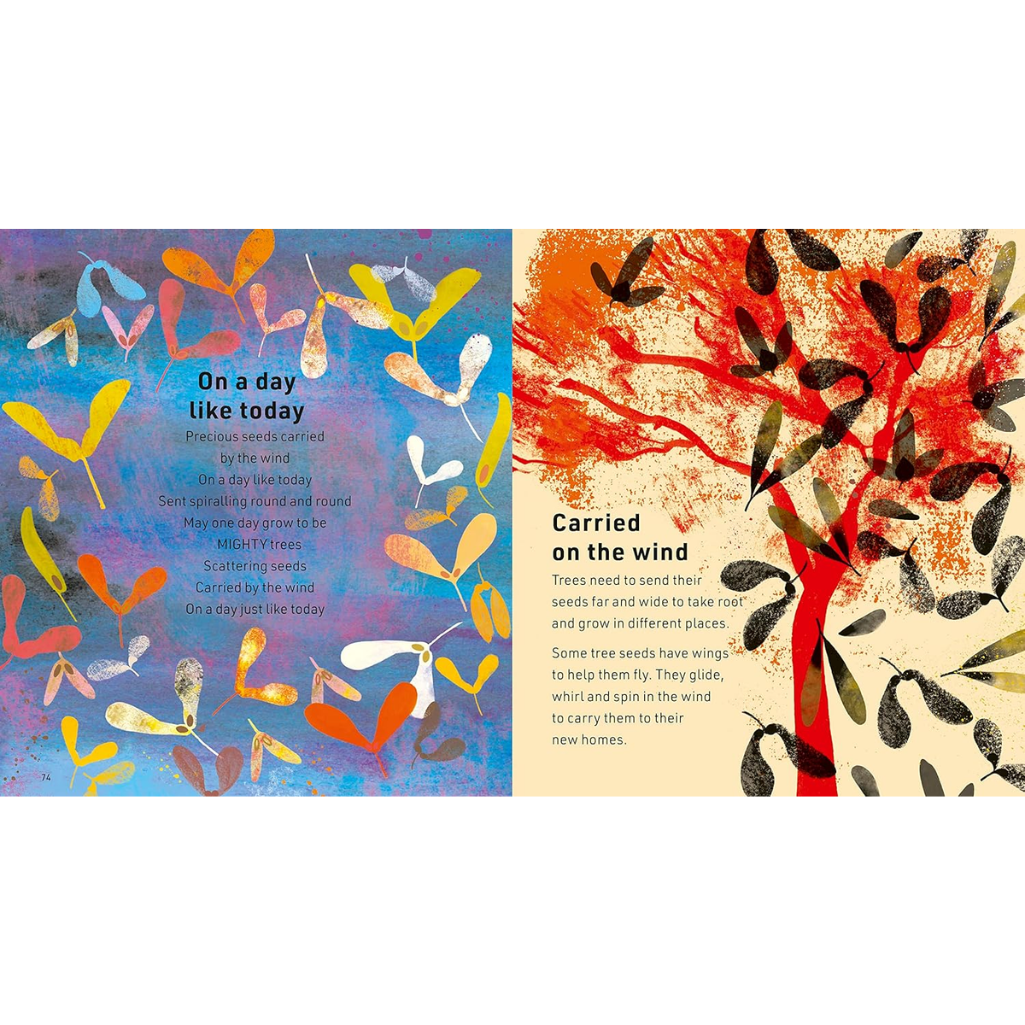 Illustrated book pages with colorful tree seeds and text on a white background