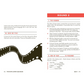 Page from 'The Movie Lover's Quiz Book' with film strip graphic and quiz questions.