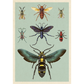 Illustration of various insects on a light green background