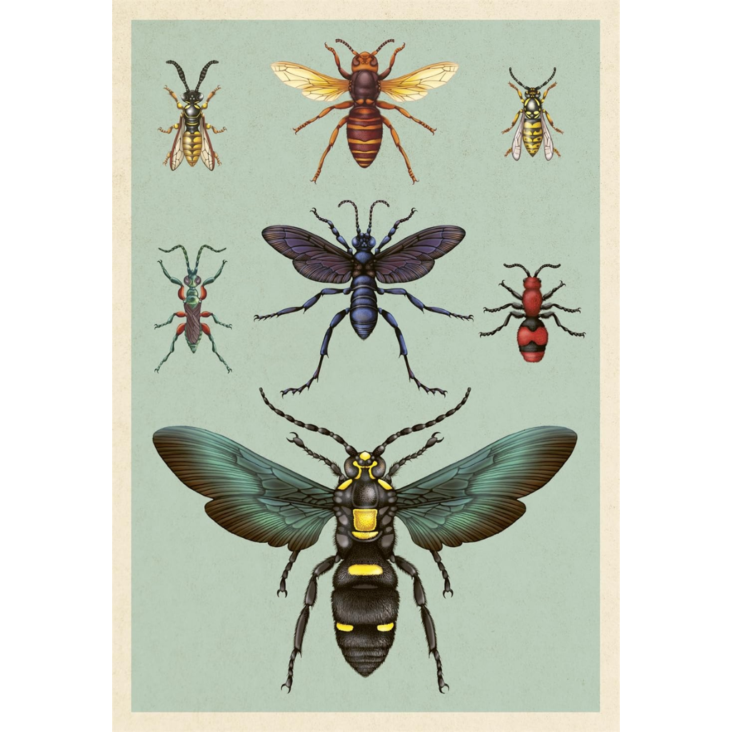 Illustration of various insects on a light green background