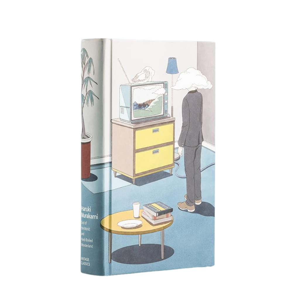 Illustrated book cover with a person watching TV in a room
