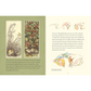 Illustrated book pages with nature scenes and characters, featuring a green border.