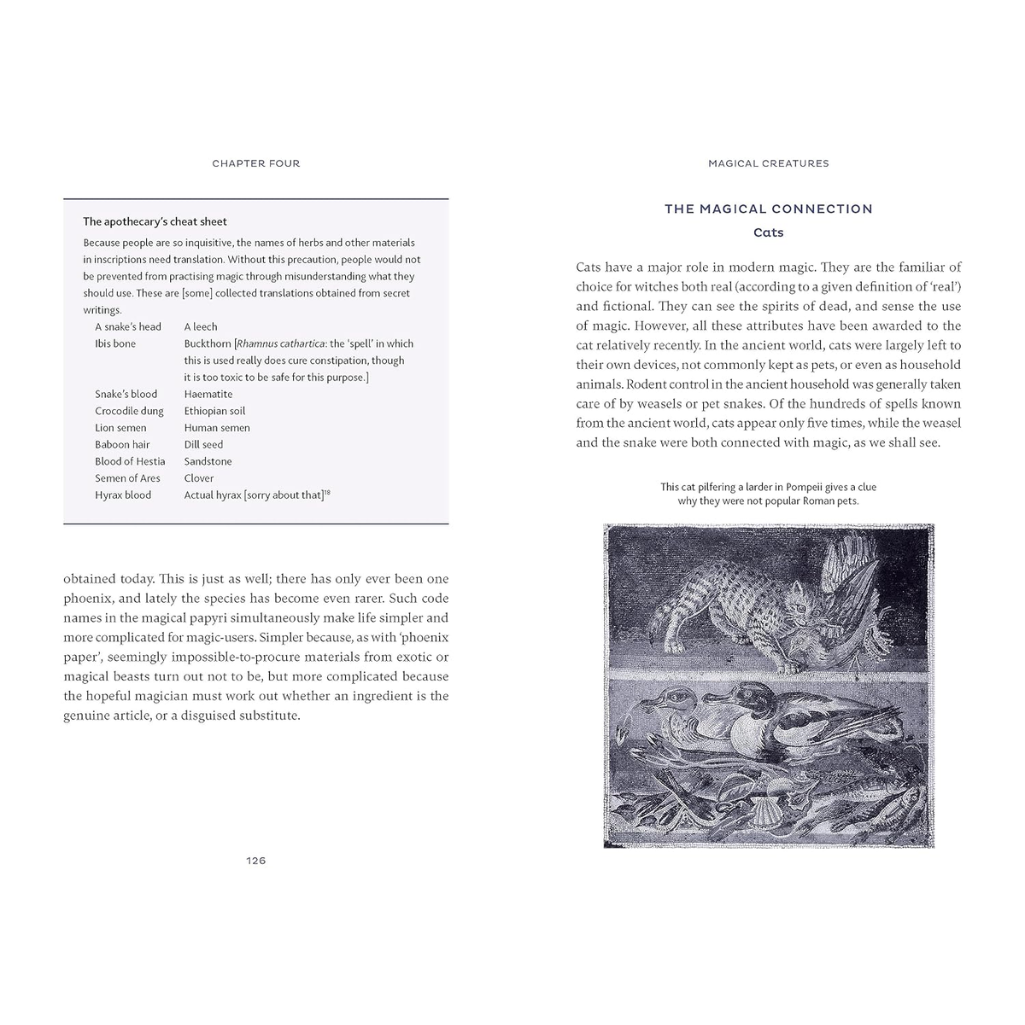 Book page with text and an illustration of a cat and snake on a white background