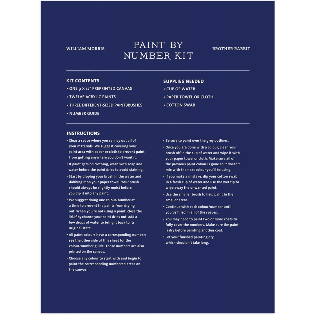 Instruction sheet for a paint by number kit with text on a blue background