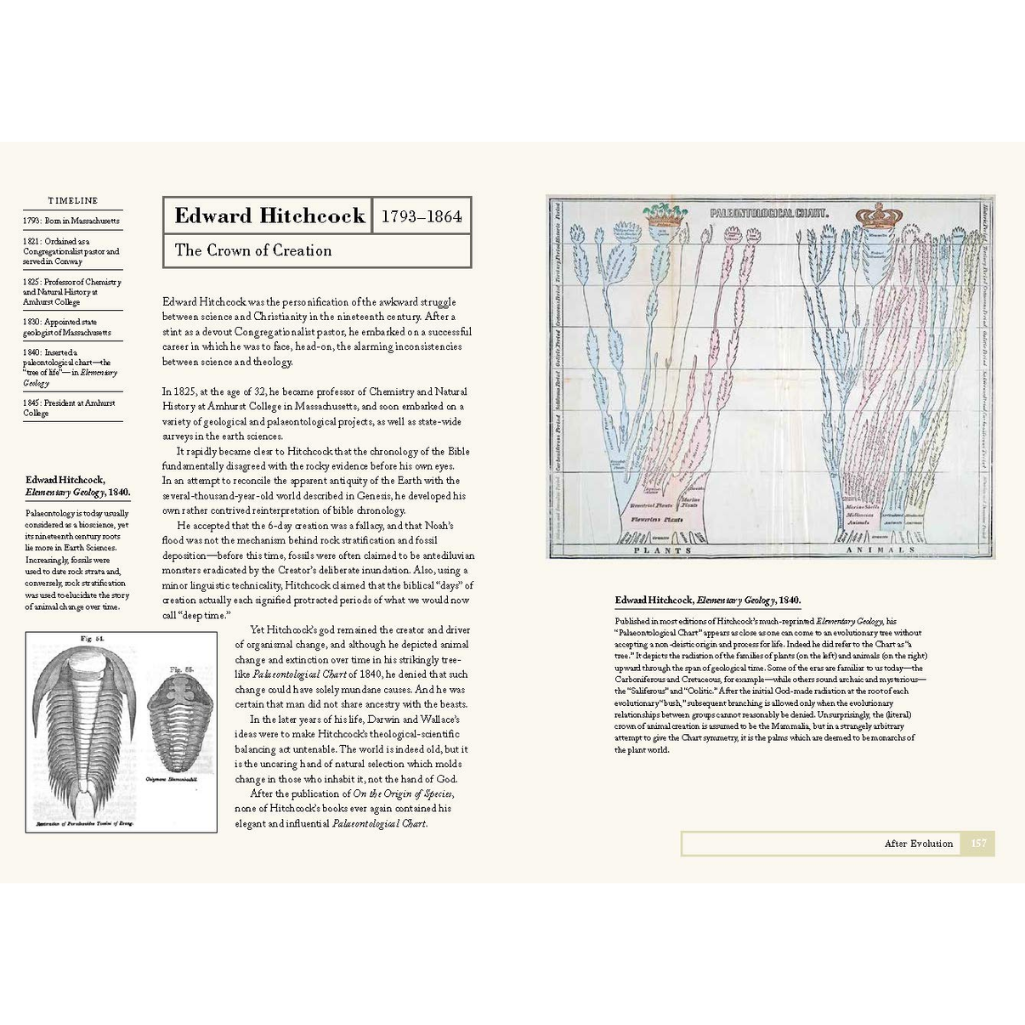 Educational diagram and text on a white background