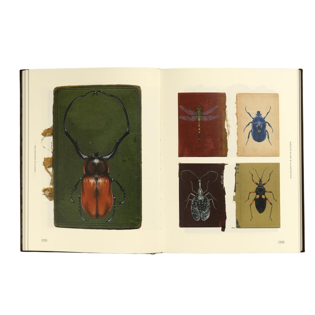 Open book with illustrations of beetles on a white background