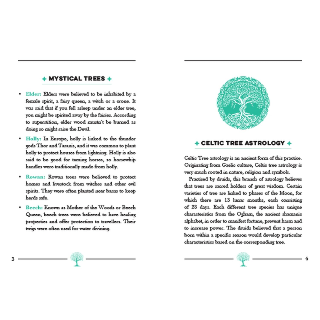 Book pages about mystical trees with tree illustrations and text on a white background