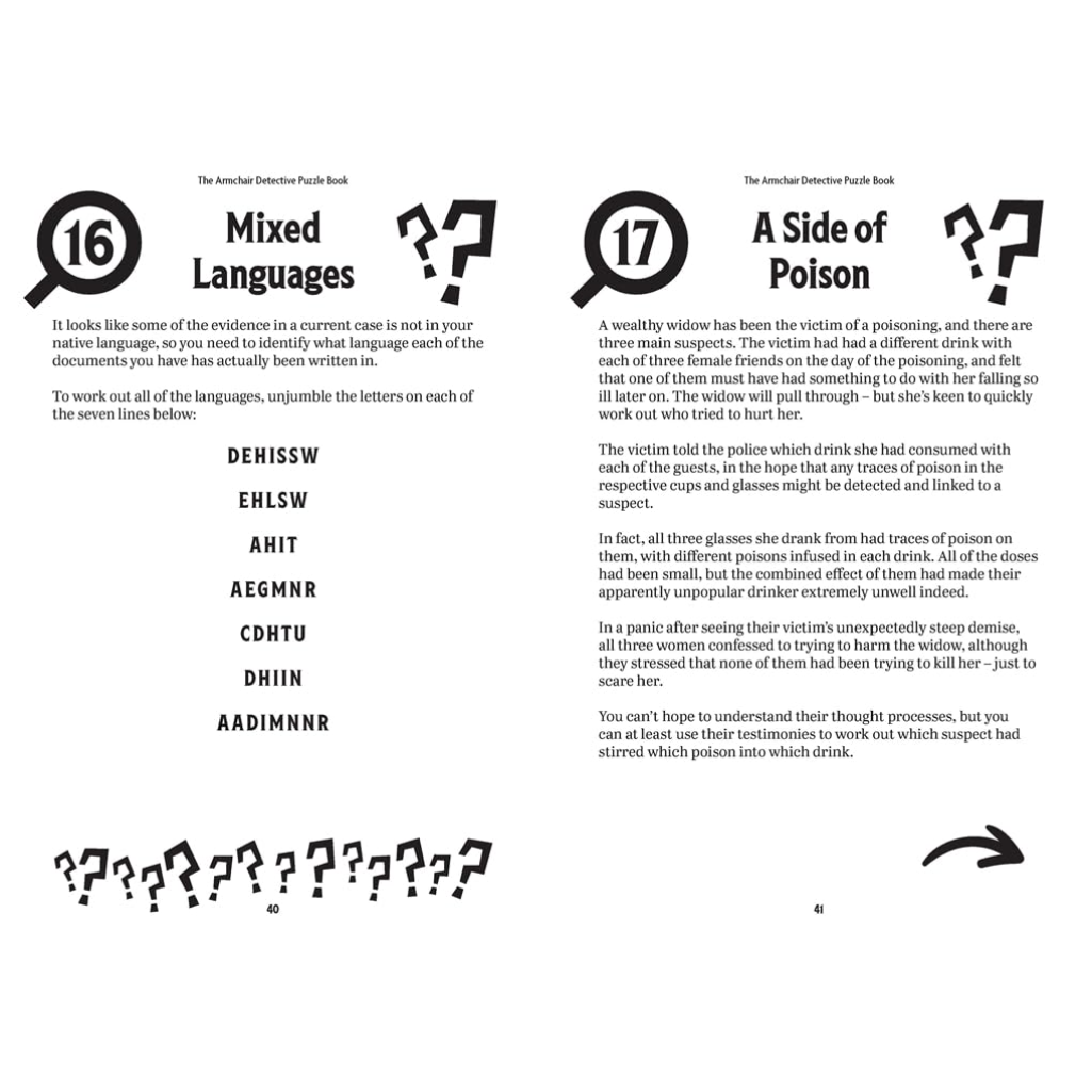 Page from a book titled 'The Amateur Detective Puzzle Book' with text and puzzle elements.