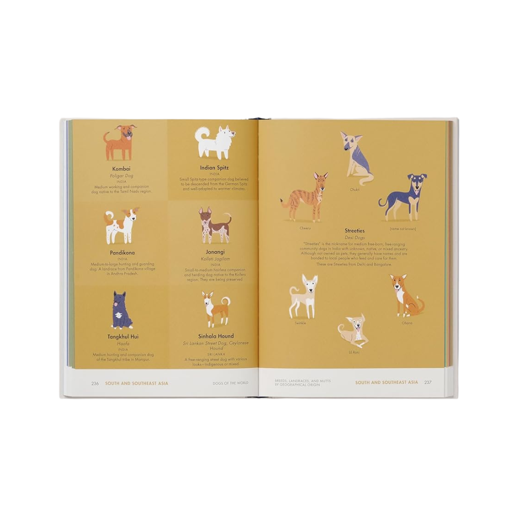 Open book with illustrations of dogs on a yellow background