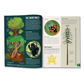 Open book about the Rain Forest with illustrations and text on a white background