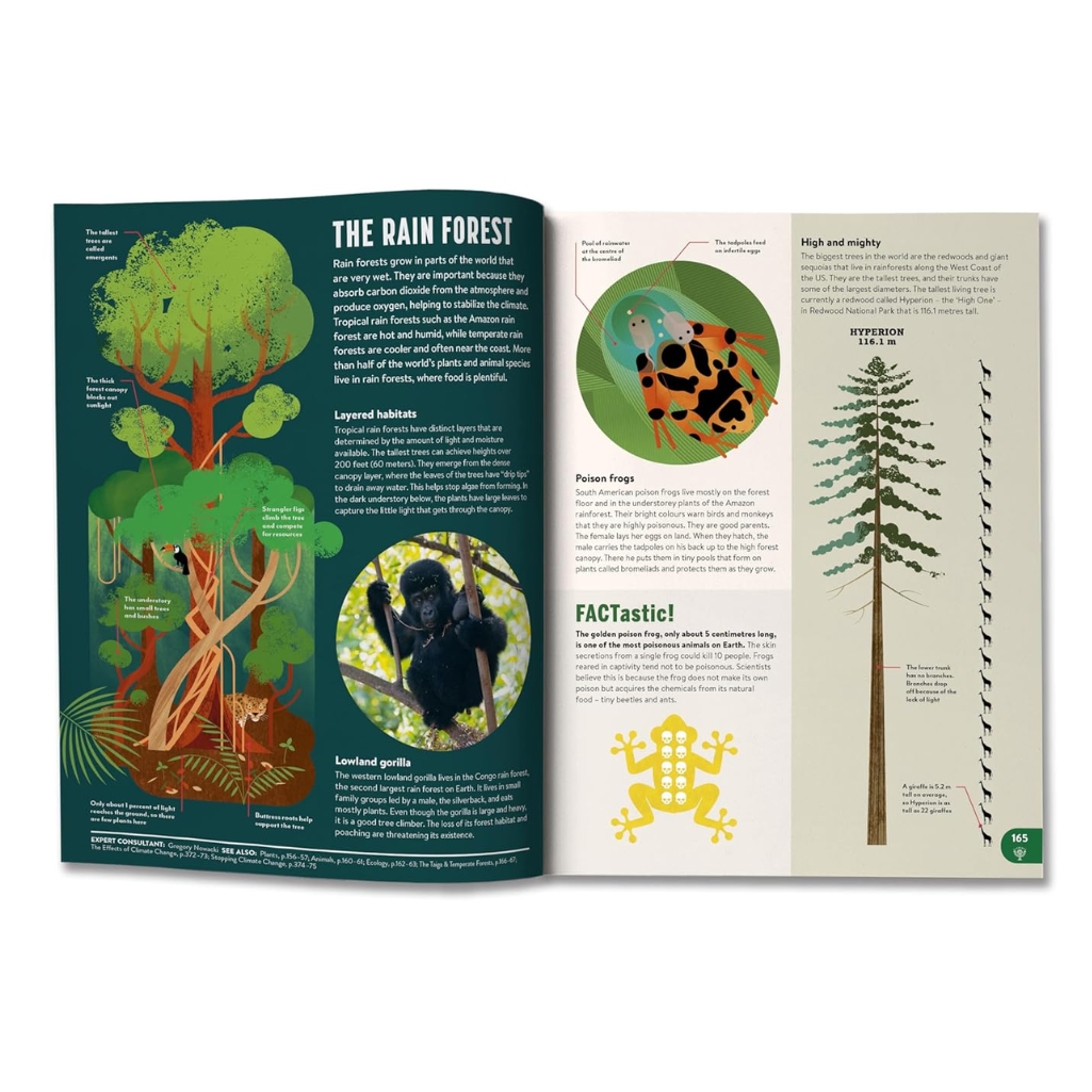 Open book about the Rain Forest with illustrations and text on a white background